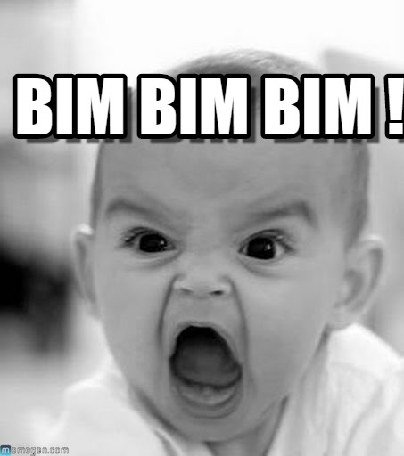 bim bim bim.jpg