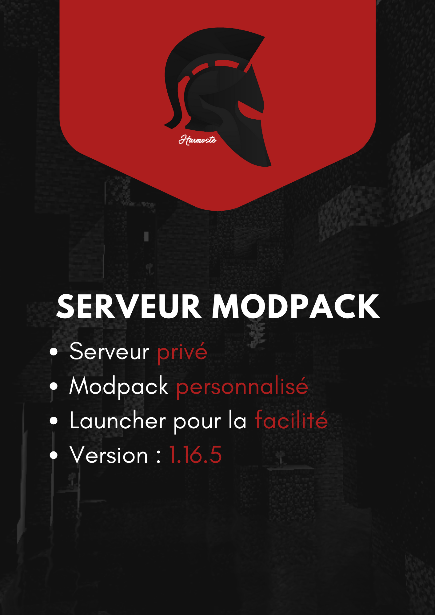 Brochure Harmoste Serveur.png