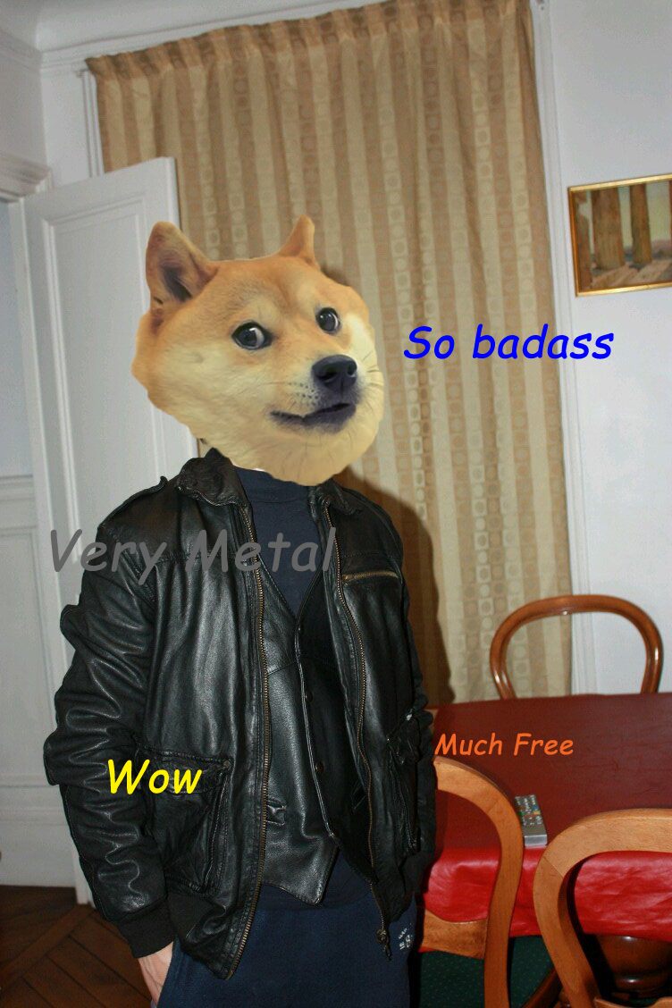 doge-head.jpg