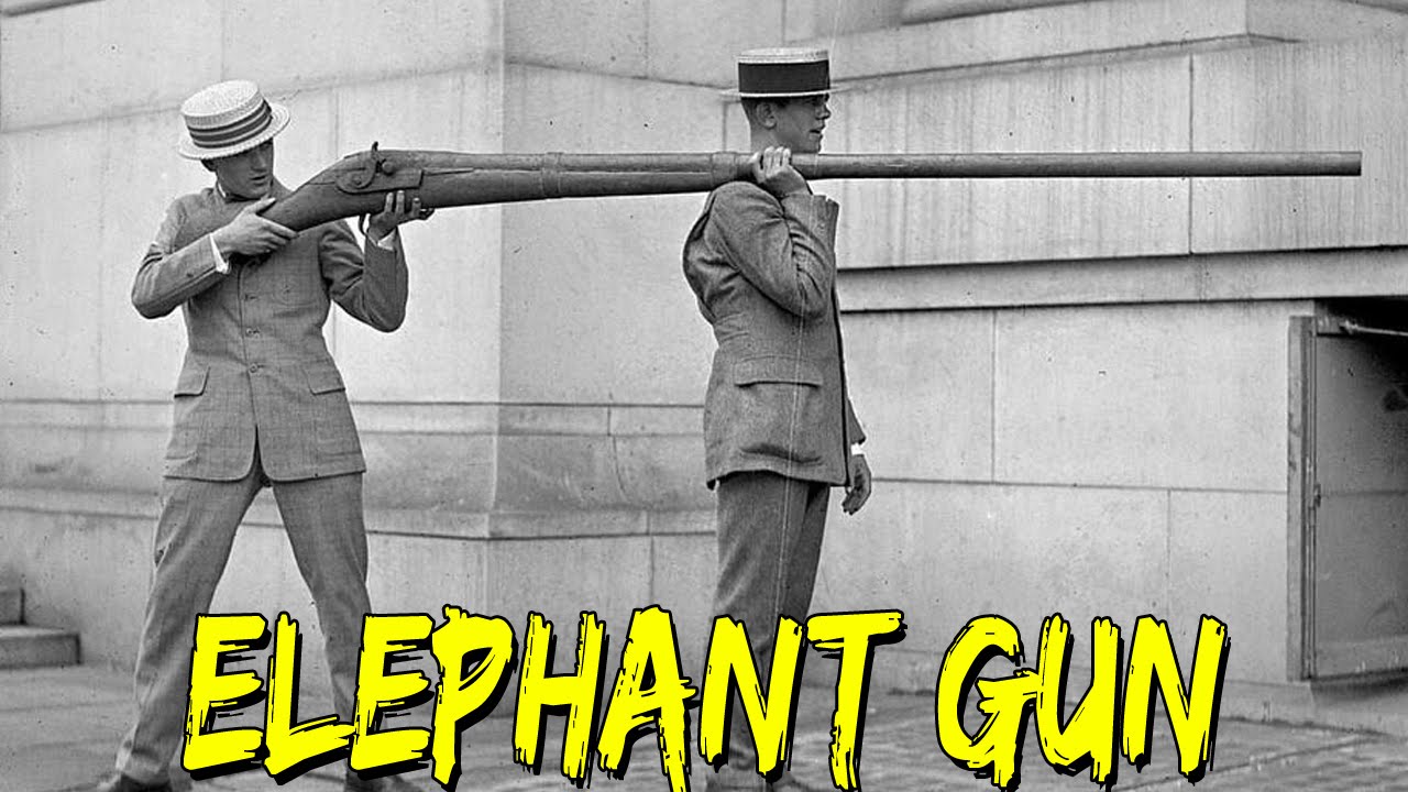 Elephant Gun.jpg