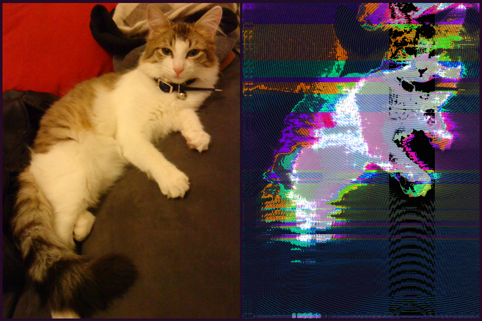 Glitch Cat.png