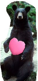 gros nounours noir avec coeur rose entre les pattes.png