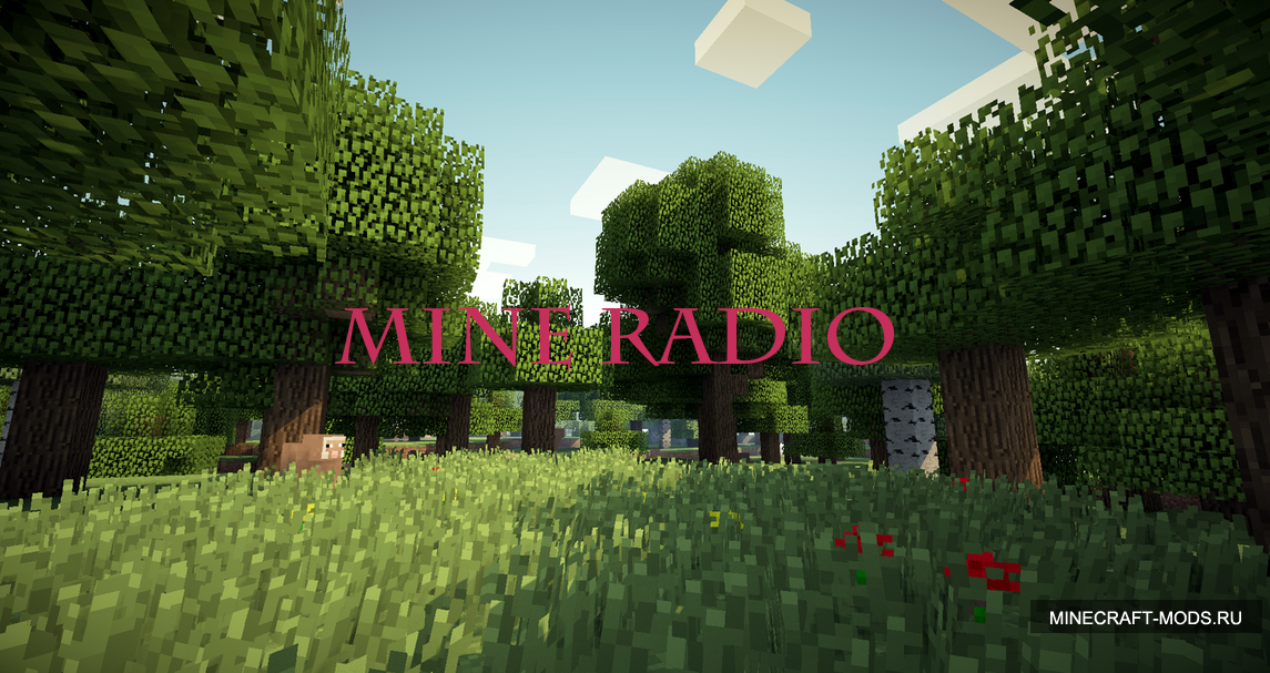 mine radio.png