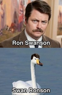 ron.jpg