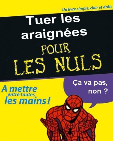 Tuer_les_araignees_Nul.jpg