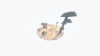 desert.png