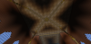 2013-05-04_15.55.52.png