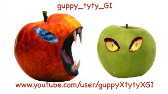 guppy_tyty_GI