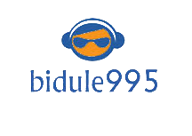 bidule995