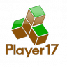 ThePlayer17