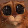CoCoVizoo