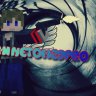 minetom29pro