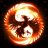 phoenix21275