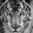 Xx-Wolf_Plays-xX